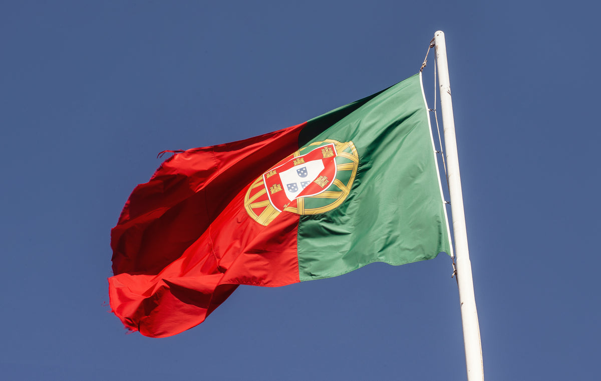 Cancellation of the Job Seeker Visa in Portugal